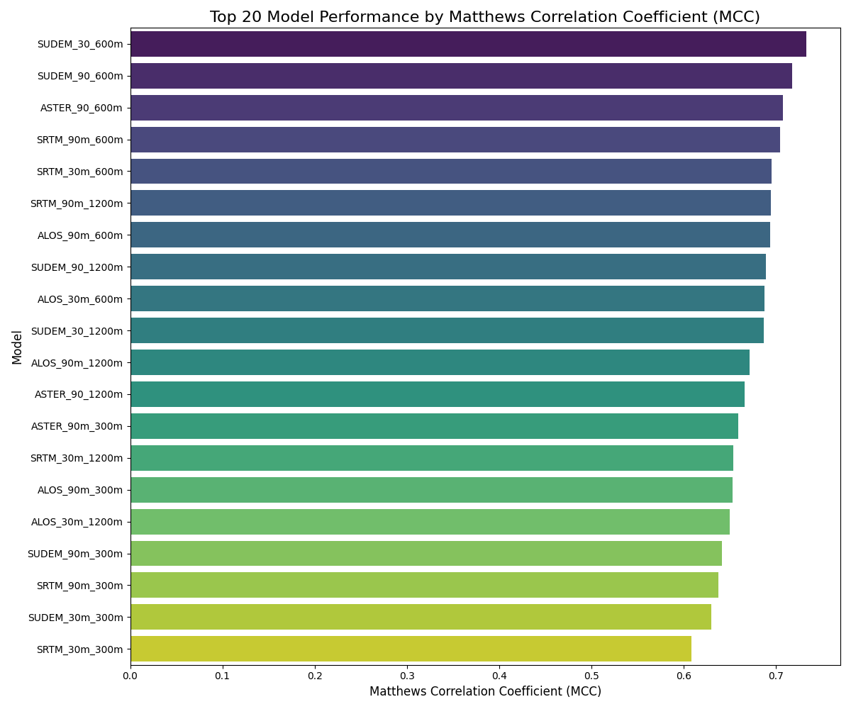 1 Top 20 Model Performance
